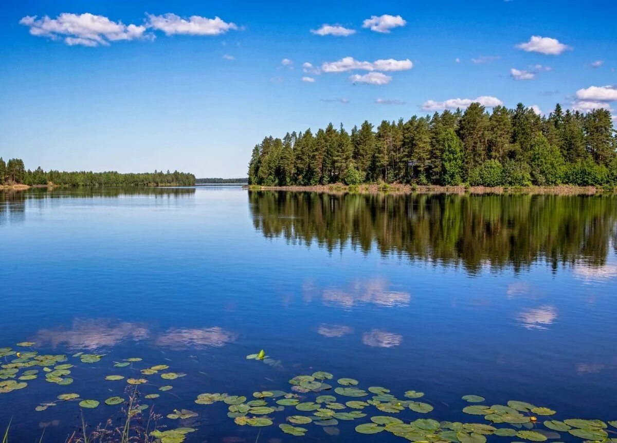 Финское озеро 5 букв