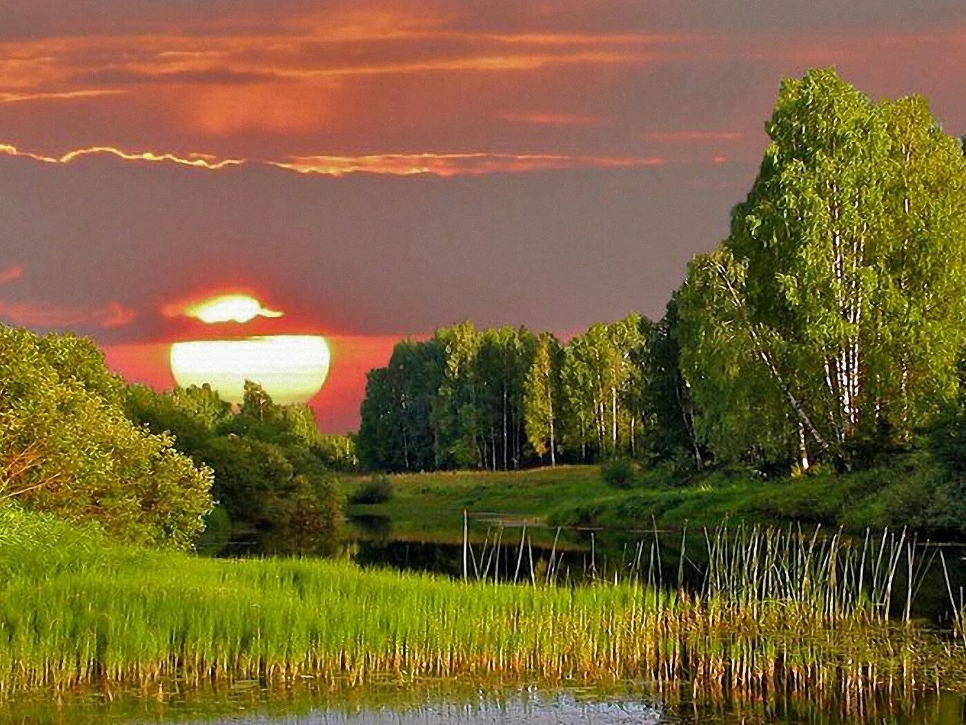 Ласковый край. Фотопейзажи Смоленской области. Юшкевич "родные просторы". Красота русской природы. Пейзажи России.