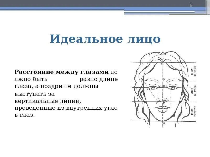 Близко посаженные глаза макияж схема. Внутренний уголок глаза. Расстояние между глазами человека. Близкопасаженные глаза. Широко и узко посаженные глаза.