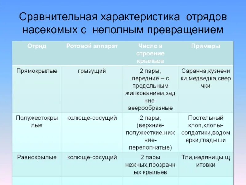 Три особенности насекомых. Таблица отряд признаки представители насекомых. Таблица по биологии 7 класс по отрядам насекомых. Таблица по биологии 7 класс главные отряды насекомых. Класс насекомые 7 класс биология таблица отряды представители.