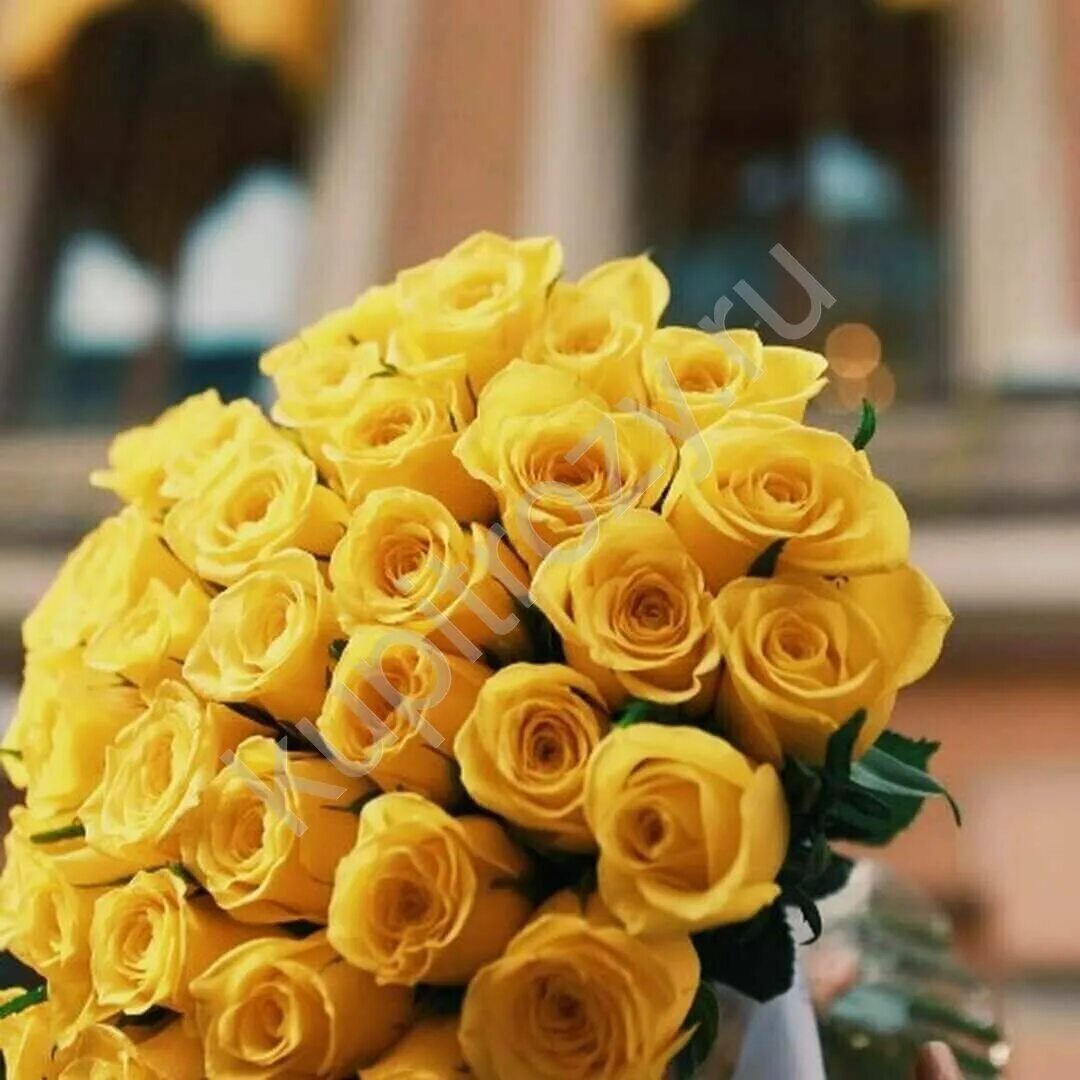 Огромные желтые букеты. Букет желтых роз. Шикарный букет желтых роз.
