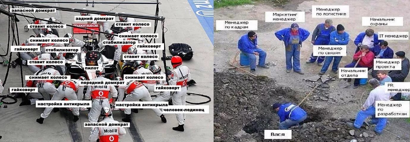 Картинка много начальников один работник bloke from poland
