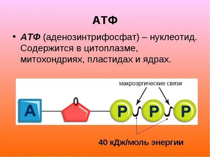 Как расшифровывается атф