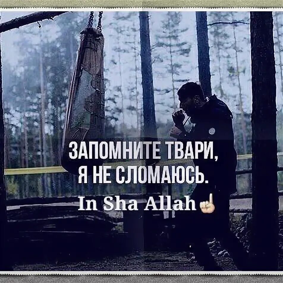 Запомните суки запрещено. Запомните твари. запомните я не сломаюсь. запомните твари я не ломаюсь.