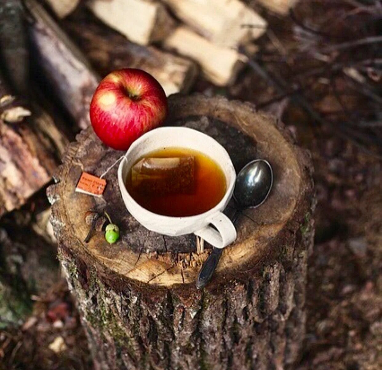 There's nothing better like bacon and coffee making in the woods. Camping life, 