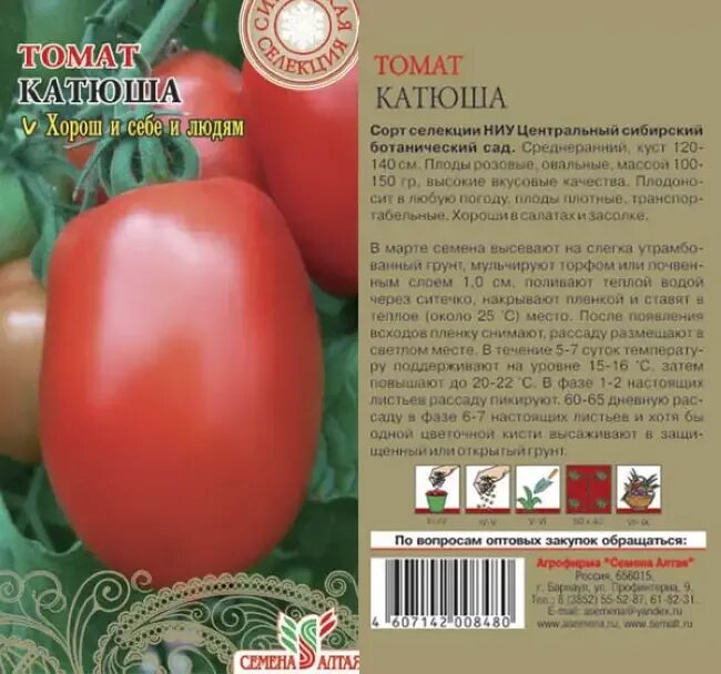 Сорт томата катя фото и описание. Семена томатов Катюша семена Алтая. Томат Метелица семена Алтая. Томат друзья товарищи семена Алтая. Сорт томатов Катюша характеристика.