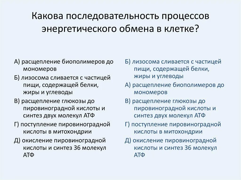 Расщепляет биополимеры до мономеров. Какая последовательность процессов энергетического обмена. Какова последовательность процессов.