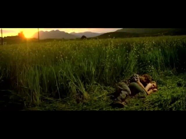 Голицынский упражнение 202. Bro wake up its 2006. Boris wakes up when. 202 на английском. Билли джо армстронг wake me up when september ends.