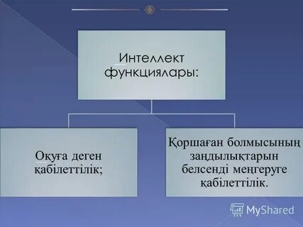Интеллект презентация