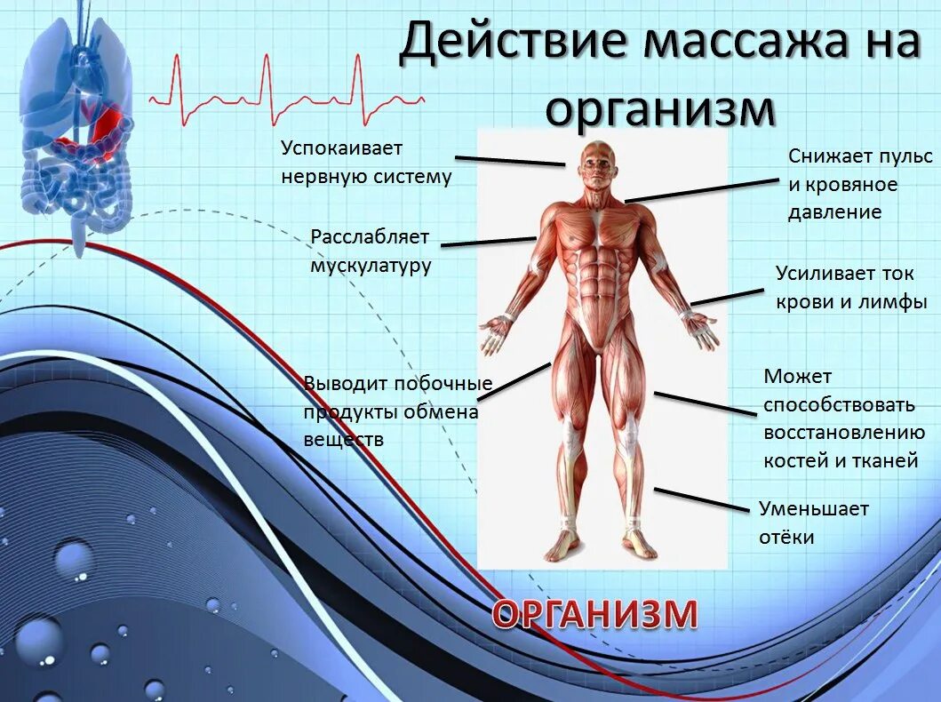 Массажные действия. Действие массажа на организм. Влияние массажа на организм. Действие массажа на организм схема. Действия массажа на организм зарисовать схематично.