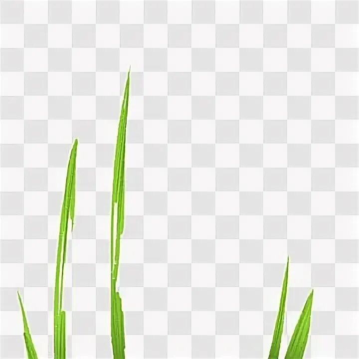 Clear grass