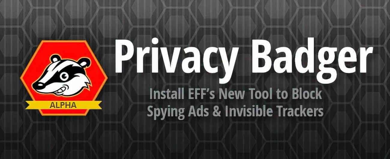 Private bads. Privacy Badger. Шляпа BADGERA стримера Badger. Privacy Badger logo. Расширение для блокировки рекламы бобер на иконке.
