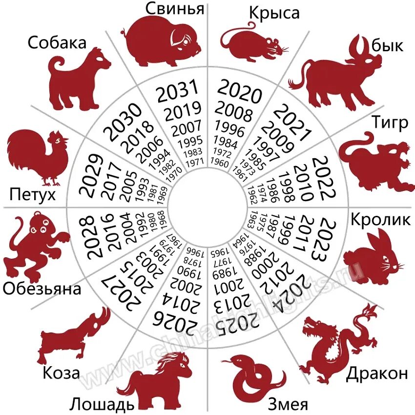 Животные китайского календаря. Календарь года животных. Годы по восточному календарю животные. Символы года.