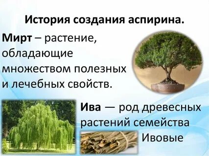 Аспирин из какого дерева