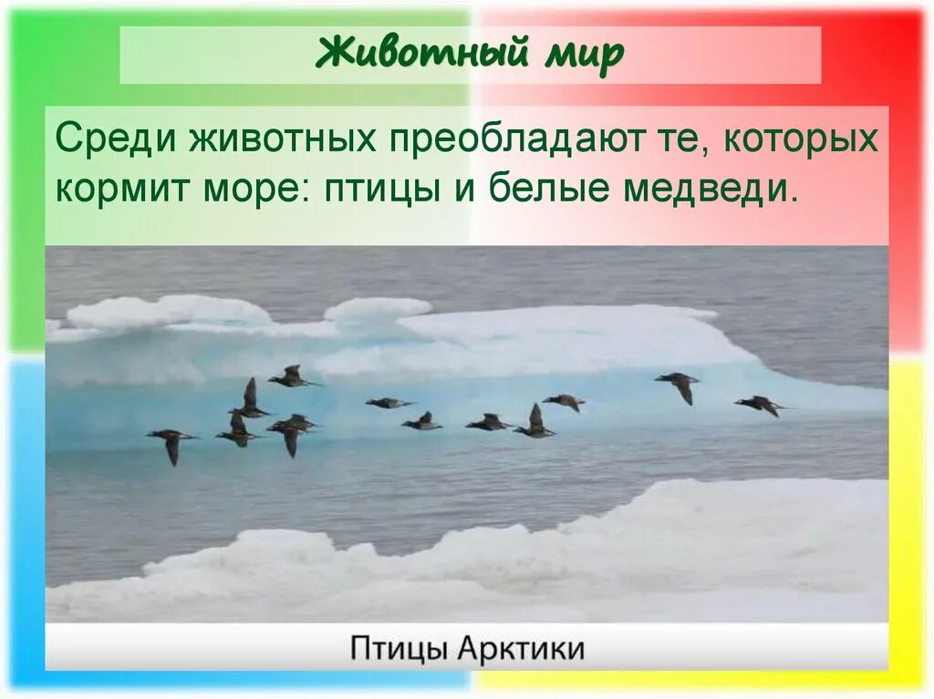 Животный мир северных безлесных зон. Презентация на тему Северные безлесные природные зоны. Северные безлесные зоны презентация. Среди животных преобладают.