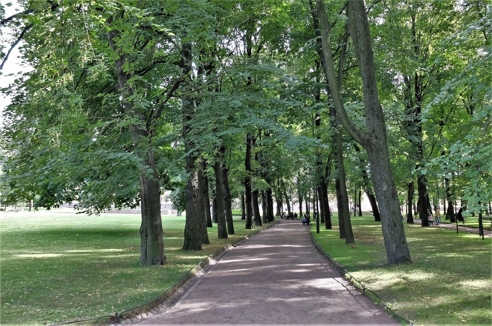 Михайловский сад аллея. Михайловский парк в Санкт-Петербурге. Липовая аллея в Михайловском саду в Санкт-Петербурге. Михайловский сад Санкт-Петербург дуб.