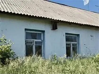 Восточный алтайский край