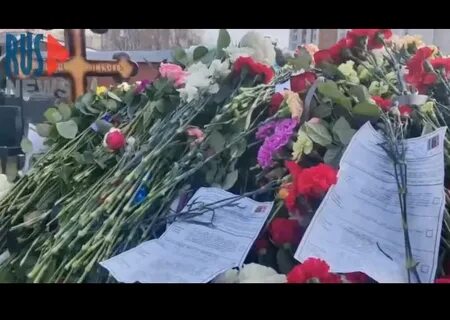 Фото могилы навального сегодня