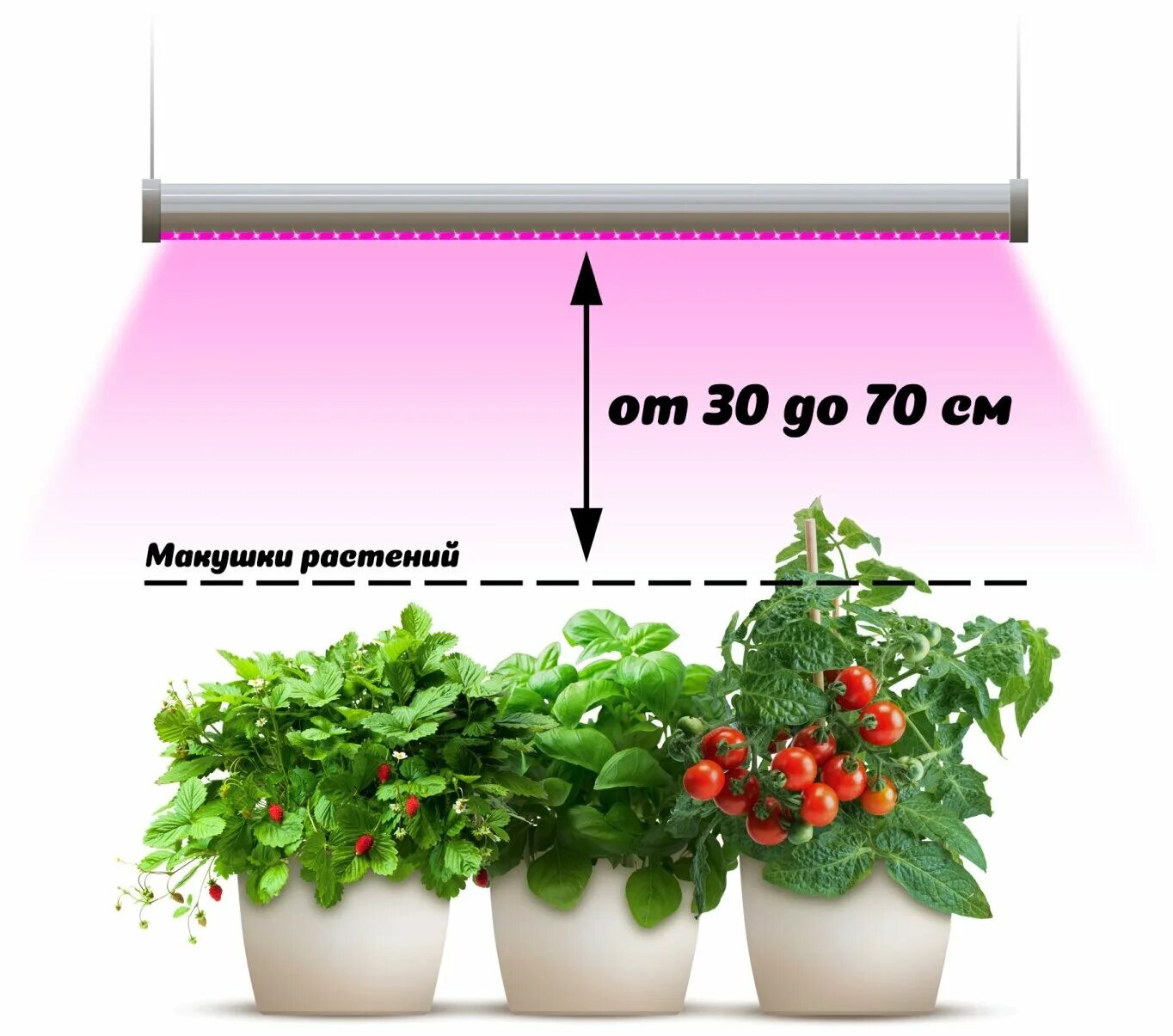 Как пользоваться фитолампой при выращивании рассады. Фитосветильник 35 вт полный спектр. Как пользоваться фитолампой при выращивании рассады. Светильник для рассады. Фитолампа g23.