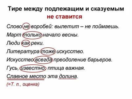 Тире 80