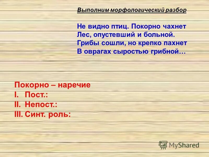 сыростью разбор. грибок от сырости на стенах. морфологический разбор глагола шестой класс. влага в подвале. грибок на бетонной стене.