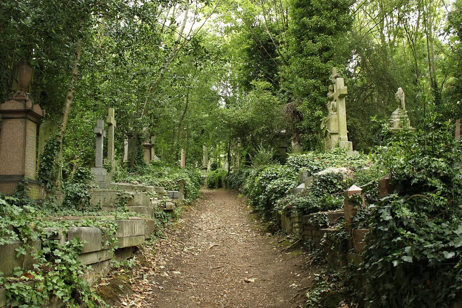 Ужасные сад. Хайгейтское кладбище Лондон Великобритания. Highgate Cemetery могила вампира. Лондонское кладбище Хайгейт. Кладбище Хайгейт в Лондоне могилы.