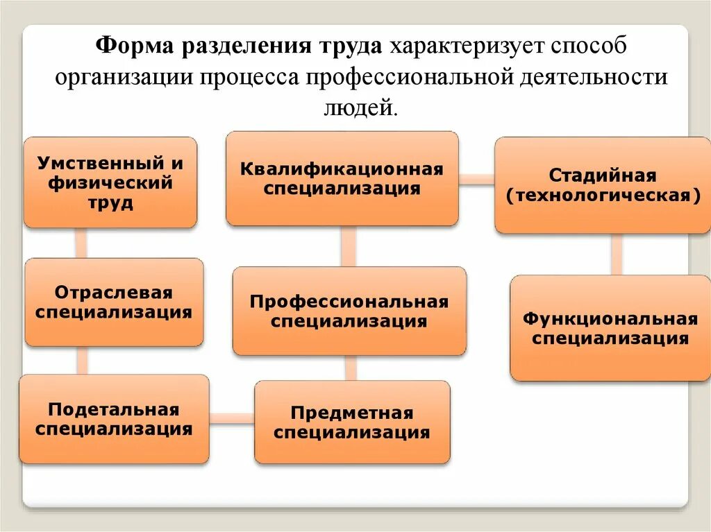 Виды разделения труда. Эвтды разделения труда. Разделение труда характеризуется. Основные типы разделения труда. Реализация разделения деятельности