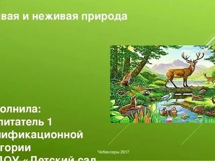 Взаимодействие с живой природой