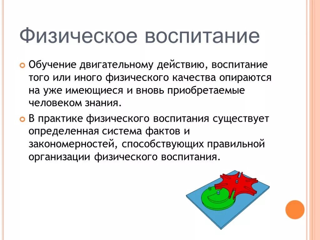 Обучение двигательным действиям и воспитание. Обучение двигательным действиям и воспитание физических качеств.