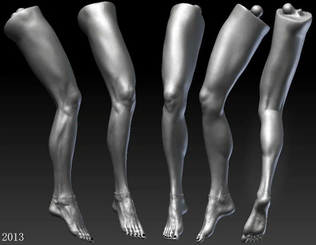 Legs 3d model
