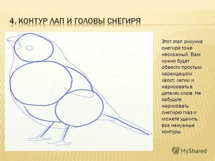 Изо 2 класс рисуем поэтапно презентация