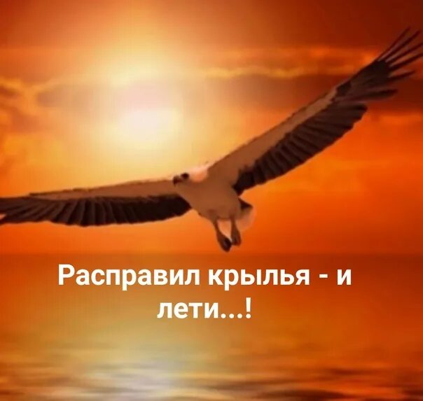 Небо небо расправь мне крылья. Расправь Крылья и лети. РАСПРАВЛЕННЫЕ Крылья. Расправь свои Крылья стихи. Расправь Крылья статус.