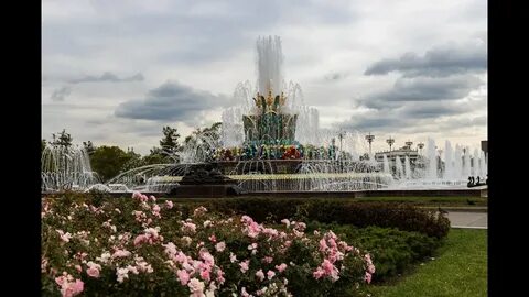 Вднх записаться