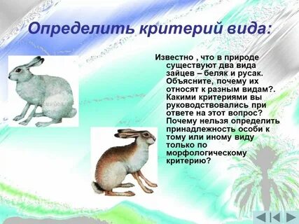 Природа какая категория