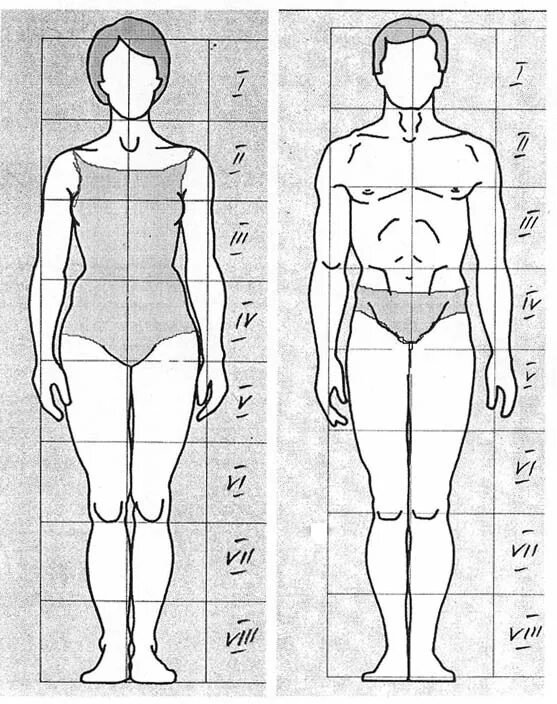 Схема пропорций фигуры человека. Пропорции человека в полный рост схема. Рисунок человека в полный рост пропорции. Пропорции тела человекарисуок.