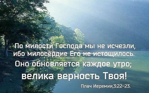 Проклят надеющийся. Милосердие Божие обновляется каждое утро. Милость его обновляется каждое утро Библия. По милости Божией мы не исчезли. Милость твоя обновляется каждое утро.