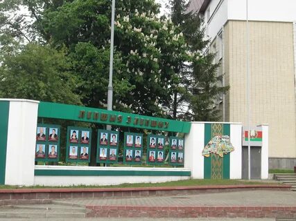 Беловежский брестская область