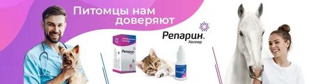 Хелпер великий новгород