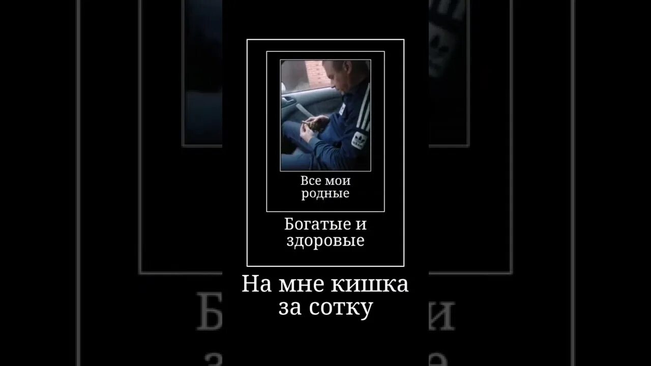 Песни все мои родные богатые. Футаж все Мои родные богатые и Здоровые. Все Мои родные богатые и Здоровые. Все Мои родные богатые и Здоровые Мем. Все Мои родные богатые и Здоровые текст.