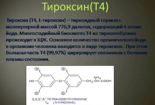 Тироксин гормон чего. Тироксин гормон формула. тироксин химическое строение. тироксин формула химическая. гормон тироксин химическое строение.