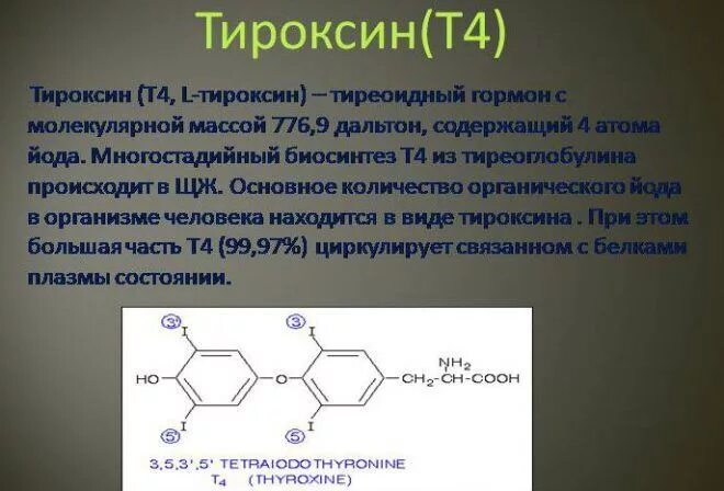 Использование йода для синтеза гормонов. Тироксин гормон щитовидной железы. Биохимические эффекты тироксина. Тироксин это тетрайодтиронин. Тироксин формула.