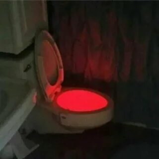 Случайный туалет