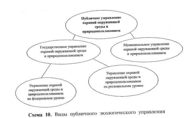 Охрана окружающей среды органы местного самоуправления. Охрана окружающей среды схема. Объекты охраны окружающей среды схема. Управление природопользованием и охраной окружающей среды. Окружающий охрана среда схема.