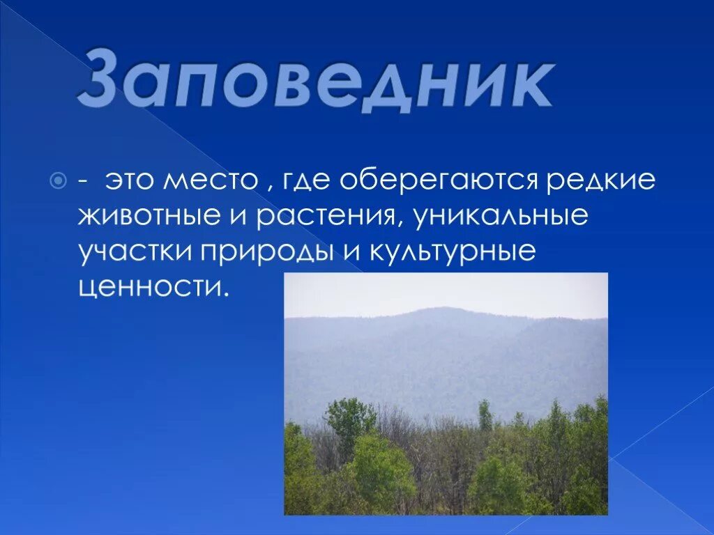 Заповедники кратко детям. Заповедник. Заповедник это определение. Что такое заповедник кратко. Заповедник это кратко для детей.