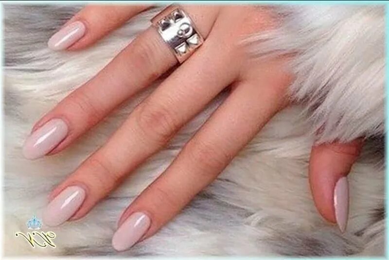 скво ногти. розовый маникюр на длинные. ромбовидная форма ногтей. скво ногти. овально-квадратная форма ногтей.