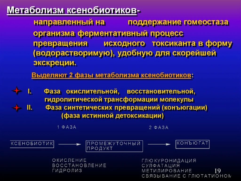 Биотрансформация ксенобиотиков 1 фаза. Система биотрансформации ксенобиотиков 3 фазы. Биотрансформация ксенобиотиков в печени. Основные пути метаболизма ксенобиотиков. Результатом этого является изменение