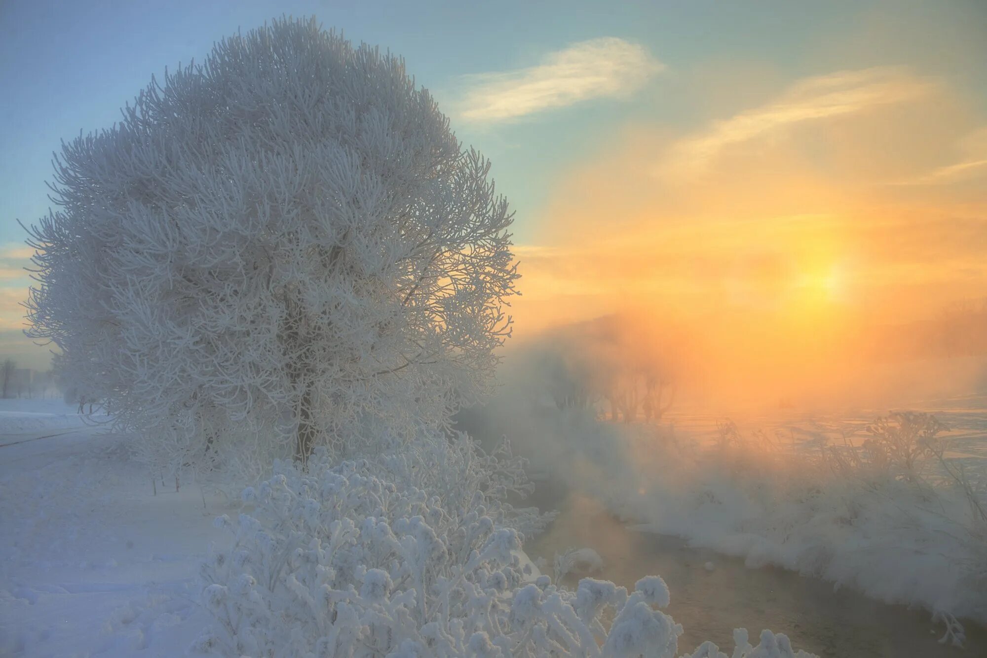 Солнце зимою слова. Зимний туман. Солнечный зимний день. Зима Мороз. Морозный день.