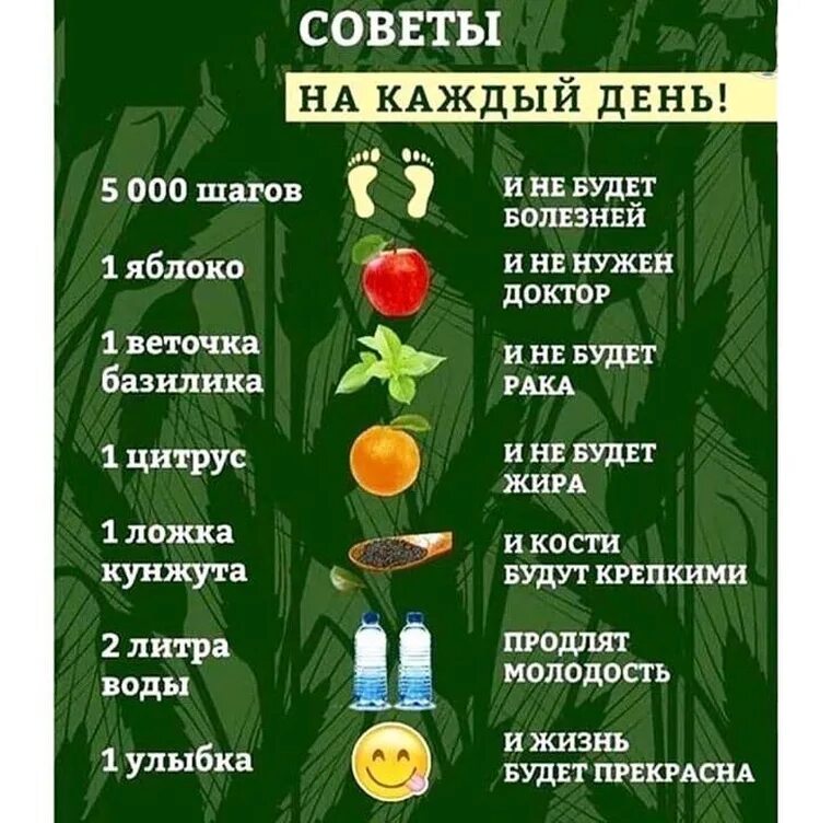 Полезная жизнь