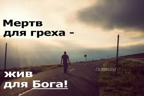Не жить грехами