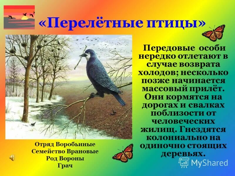 Рассказы птицы весной. Первые птицы весны. Доклад о перелетных птицах. Презентация на тему перелетные птицы. Сообщение о птицах весной.